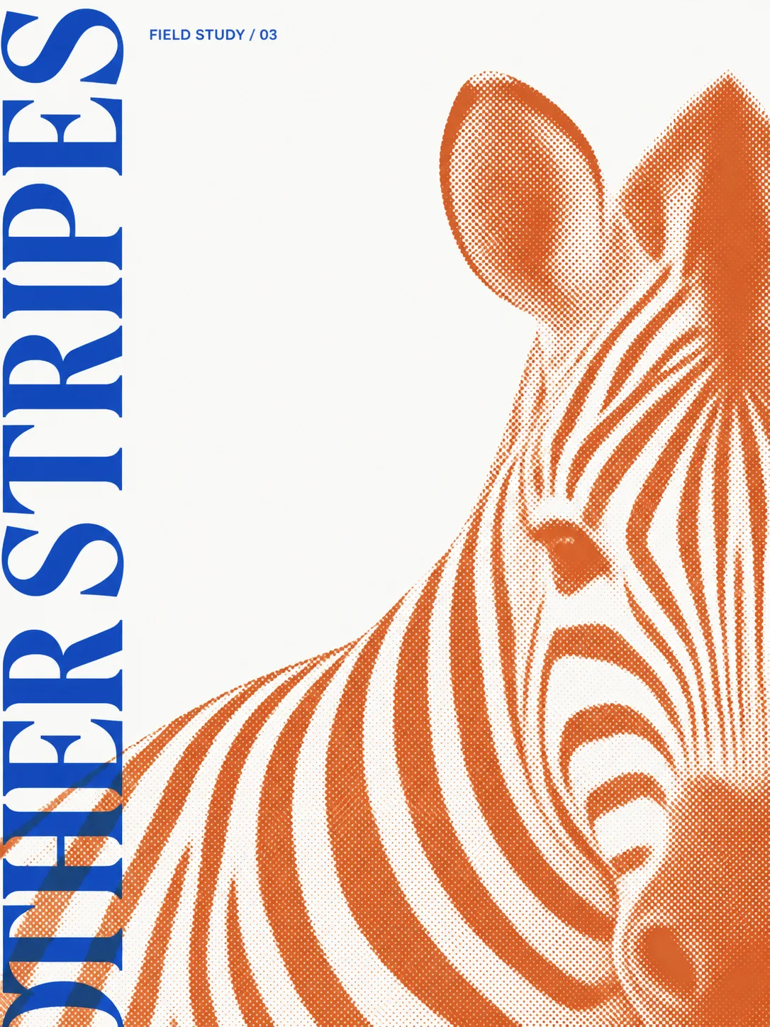 Cobalt and orange zebra field-study editorial print
