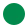 Botanical Green